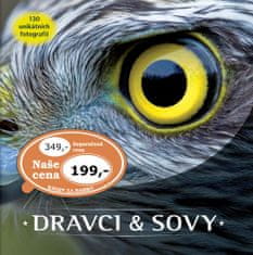 Dravci a sovy