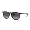 Ray-Ban Ray-Ban Erika Matte black