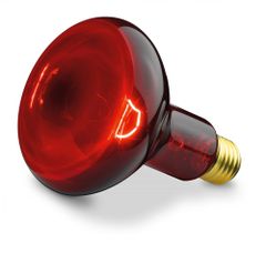 Beurer 100W žárovka pro infračervenou lampu IL11 - Beurer