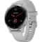 Garmin VENU 2S Silver/Gray