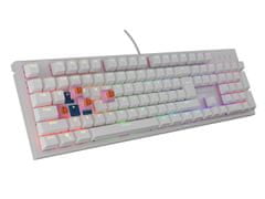 Genesis herní mechanická klávesnice THOR 303/RGB/Outemu Peach Silent/Drátová USB/US layout/Bílá