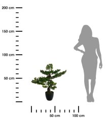 ModernHome Bonsai Strom V Černém Květináči 80 Cm