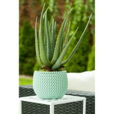 ModernHome Umělá Aloe V Květináči 45 Cm