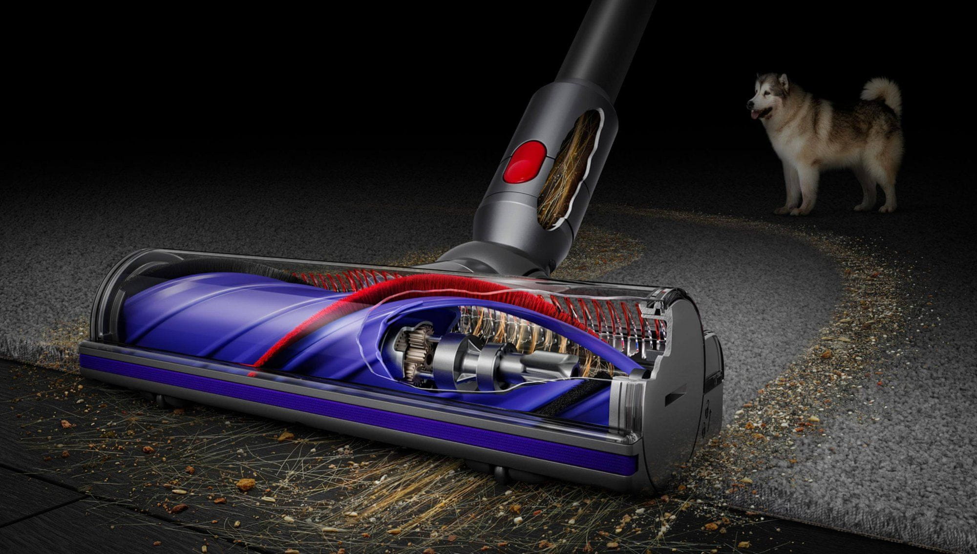  Dyson V10 Absolute 2023 