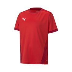 Puma Košile Teamgoal 23 Jersey 70416001