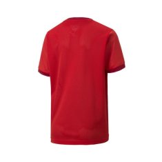 Puma Košile Teamgoal 23 Jersey 70416001