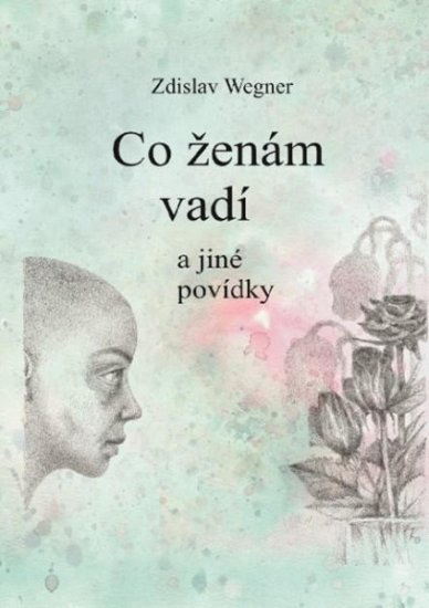 Zdislav Wegner: Co ženám vadí