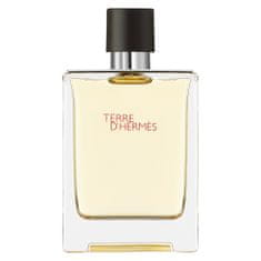 Terre D'Hermes toaletní voda ve spreji 100 ml