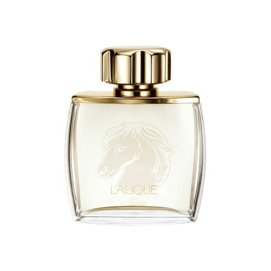 Pour Homme Equus parfémová voda ve spreji 75ml