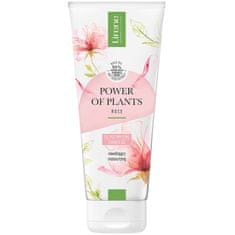 shumee Power of Plants hydratační sprchový gel Růže 200ml