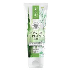 shumee Power of Plants hrubozrnný peeling Aloe 75ml