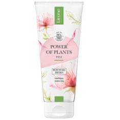 shumee Power of Plants hydratační tělové mléko růže 200ml