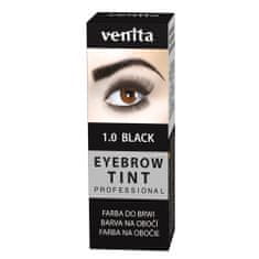 shumee Professional Eyebrow Tint prášková barva na obočí 1.0 Black