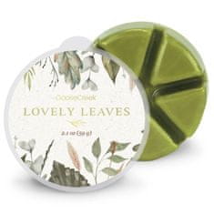 Goose Creek Vosk LOVELY LEAVES, 59g , do aroma lampy