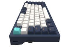 Dark Project klávesnice - 83 Navy Blue/Ivory - G3MS Mech. RGB ISO (DE)