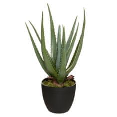 Atmosphera Umělá aloe vera REAL TOUCH, výška 44 cm