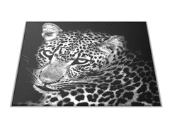 Glasdekor Skleněné prkénko šelma leopard v bílé a černé - Prkénko: 40x30cm