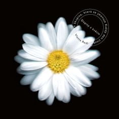 Redl Vlasta: Dopisy z květin (20th anniversary remaster)