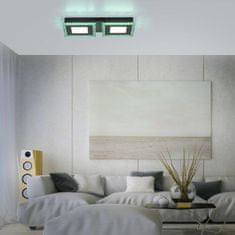 PAUL NEUHAUS LEUCHTEN DIREKT is JUST LIGHT LED stropní svítidlo černé RGB, CCT stmívatelné s dálkovým ovládáním 2700-5000K LD 14512-18