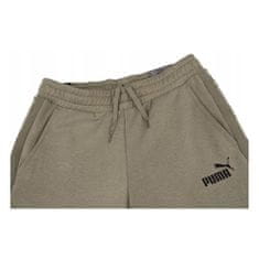 Puma Kalhoty Ampliified Shorts S9513