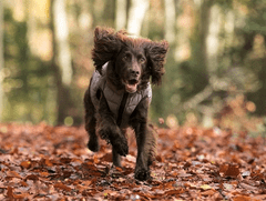 HUGO & HUDSON Péřovka Green & Grey oboustranná Velikost: S-35