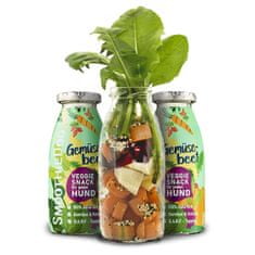 BiBi SmoothieDog Vegetariánské smoothie pro psy