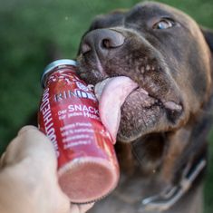 BiBi SmoothieDog Hovězí smoothie pro psy