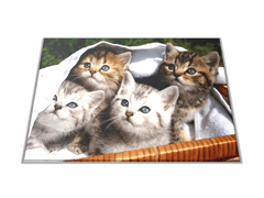 Glasdekor Skleněné prkénko tři koťata v košíku - Prkénko: 40x30cm