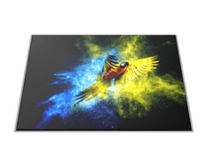 Glasdekor Skleněné prkénko papoušek Ara Ararauna - Prkénko: 40x30cm