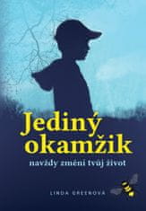 Linda Greenová: Jediný okamžik