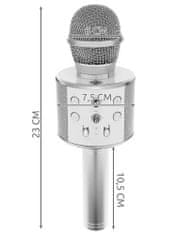 sapro Karaoke mikrofon WS-858 / Izoxis 22188 SILVER