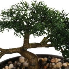 ModernHome Bonsai Strom V Černém Květináči 23 Cm