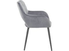 Danish Style Jídelní židle Franca (SET 2 ks) samet, šedá