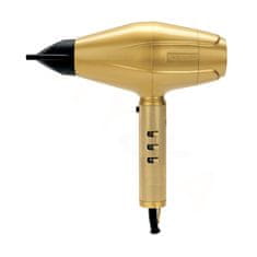 BaByliss Profesionální fén PRO 4rtists Gold FXBDG1E