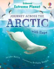 Usborne Extreme Planet: Journey Across The Arctic