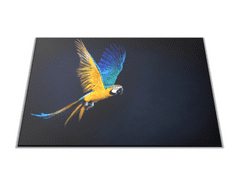Glasdekor Skleněné prkénko letící papoušek Ara Ararauna - Prkénko: 40x30cm