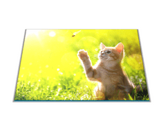 Glasdekor Skleněné prkénko do kuchyně kotě a motýl - Prkénko: 40x30cm