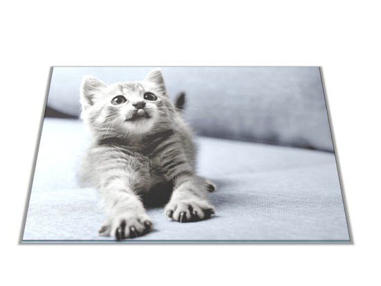 Glasdekor Skleněné prkénko roztomilé kotě