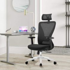 KUPŽIDLE Kancelářská ergonomická židle ERGO PLUS — černá, nosnost 150 kg