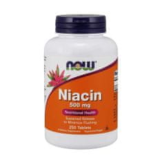 NOW Foods Doplňky stravy Niacin 500 MG