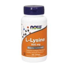 NOW Foods Doplňky stravy L Lysine 500 MG