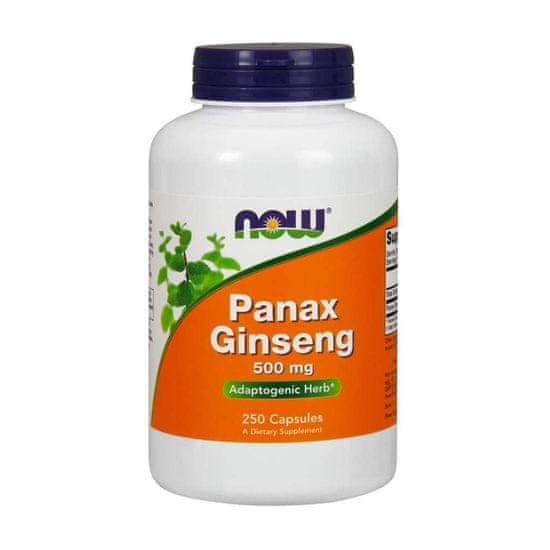 NOW Foods Doplňky stravy Panax Ginseng