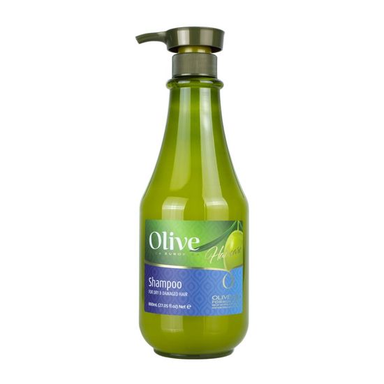 Frulatte Produkty osobní péče zelené Frulatte Olive Shampoo