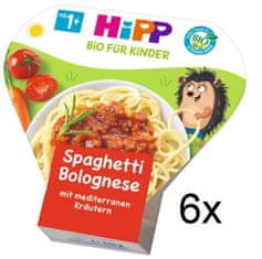 BIO Boloňské špagety - 6x250g