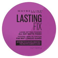 shumee Lasting Fix Setting + Perfecting Loose Powder transparentní pudr na obličej 6g