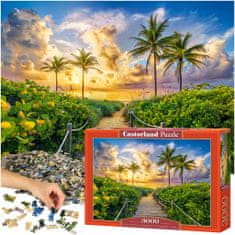 WOWO Puzzle CASTORLAND 3000 dílků - Barevný východ slunce v Miami, USA, rozměry 92x68cm