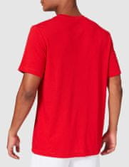 Nike Dri-FIT Park SWOOSH T-Shirt pro muže, L, Tričko, University Red/White, Červená, CW6936-657