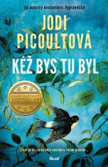 Jodi Picoultová: Kéž bys tu byl