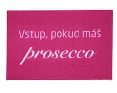 Rohožka Vstup pokud máš Prosecco 40x60 cm 40x60