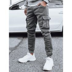 Dstreet Pánské zateplené bojové kalhoty SIMM šedé ux4050 M